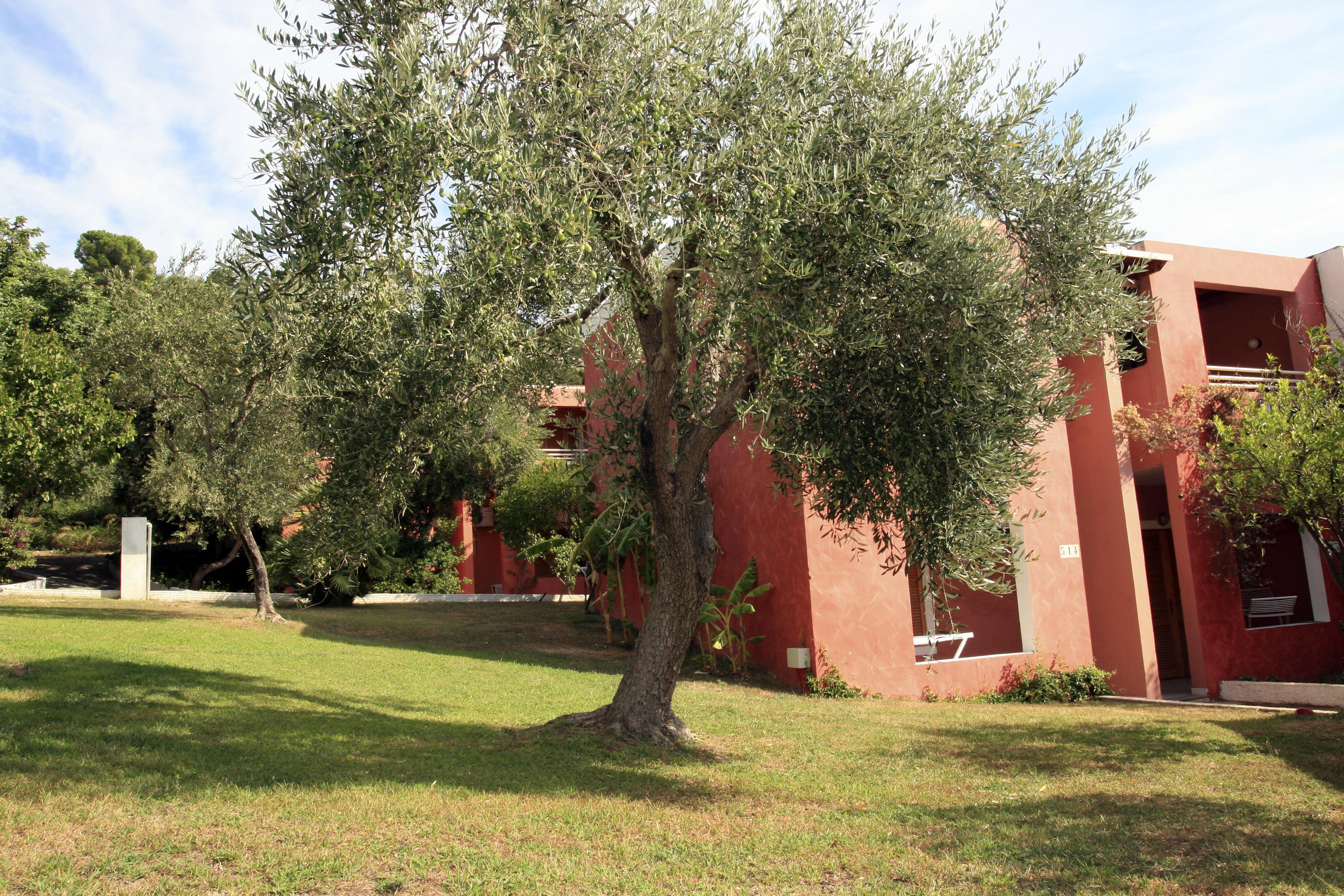 Th Costa Rei - Free Beach Resort Kültér fotó